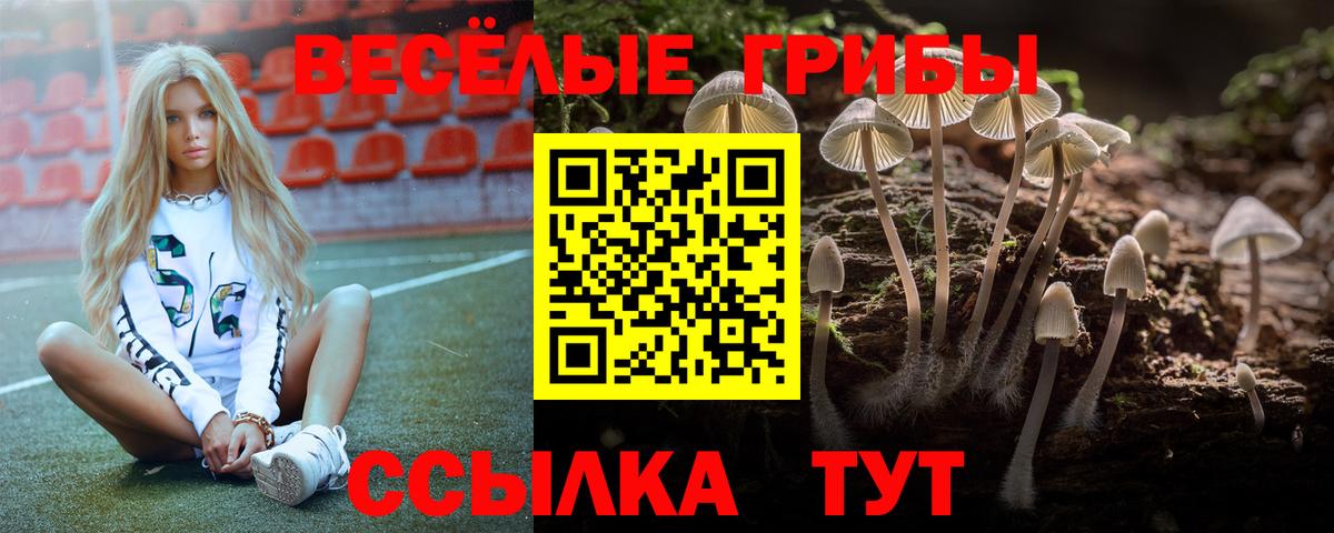Галлюциногенные грибы GOLDEN TEACHER Тосно