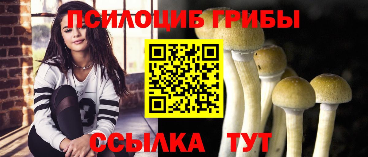 Псилоцибиновые грибы ЛСД  Галлюциногенные грибы Magic Shrooms  Тосно  Вход с VPN 